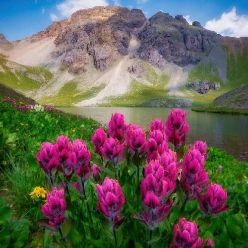 چشم آبی من کمون ابروی من تی رنگ دکتو مگه در اینه تی جور